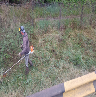 Mão De Obra Especializada2